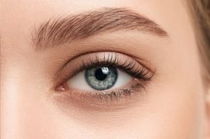 Cosmetic Tattoo eyebrows Sydney Bondi Junction